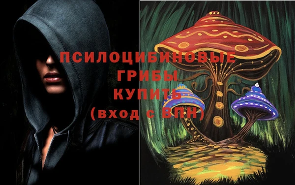 ешки Армянск