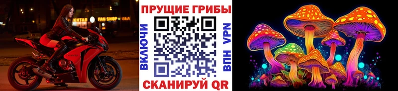 Псилоцибиновые грибы GOLDEN TEACHER  МЕГА зеркало  Стрежевой  что такое наркотик 
